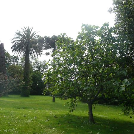 Las Carolinas Garden Santander Exterior foto